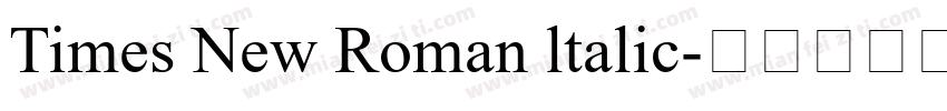 Times New Roman ltalic字体转换